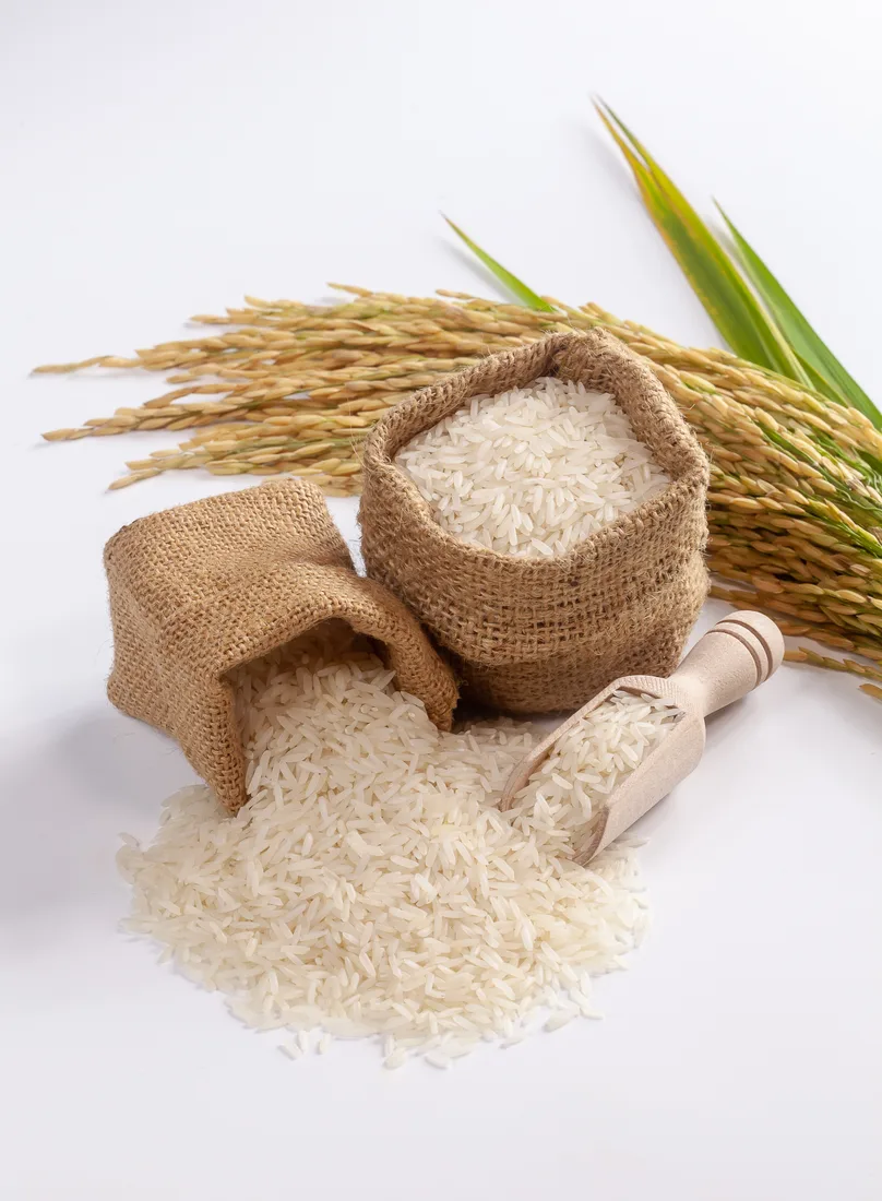Rice