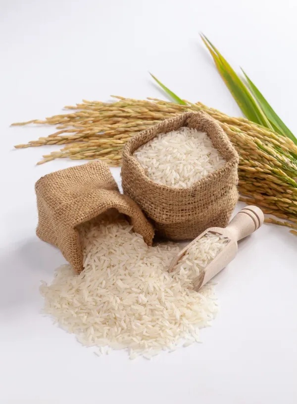 Rice