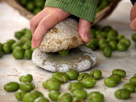 Cypriot cracked green olives