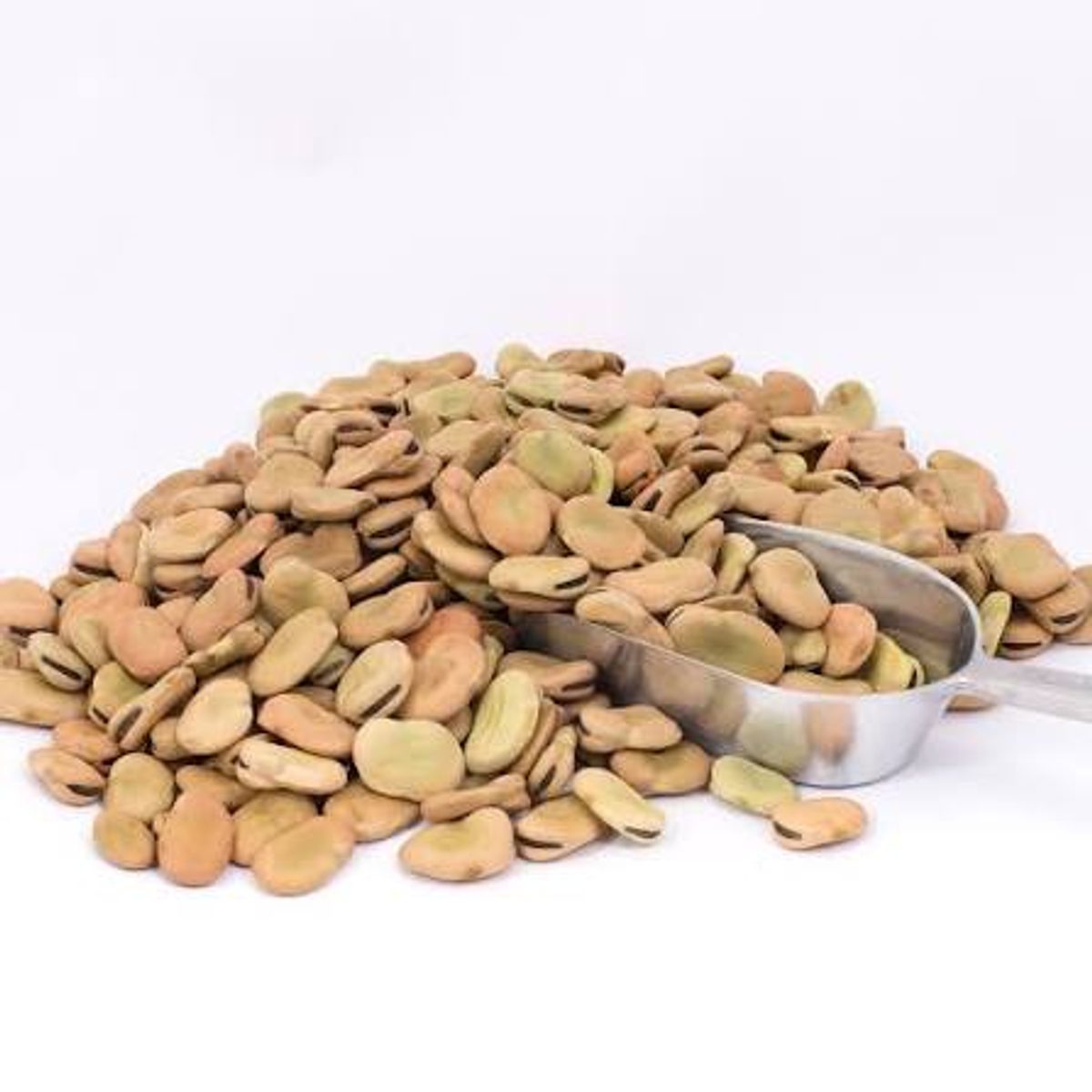Dry Broad beans (whole)
