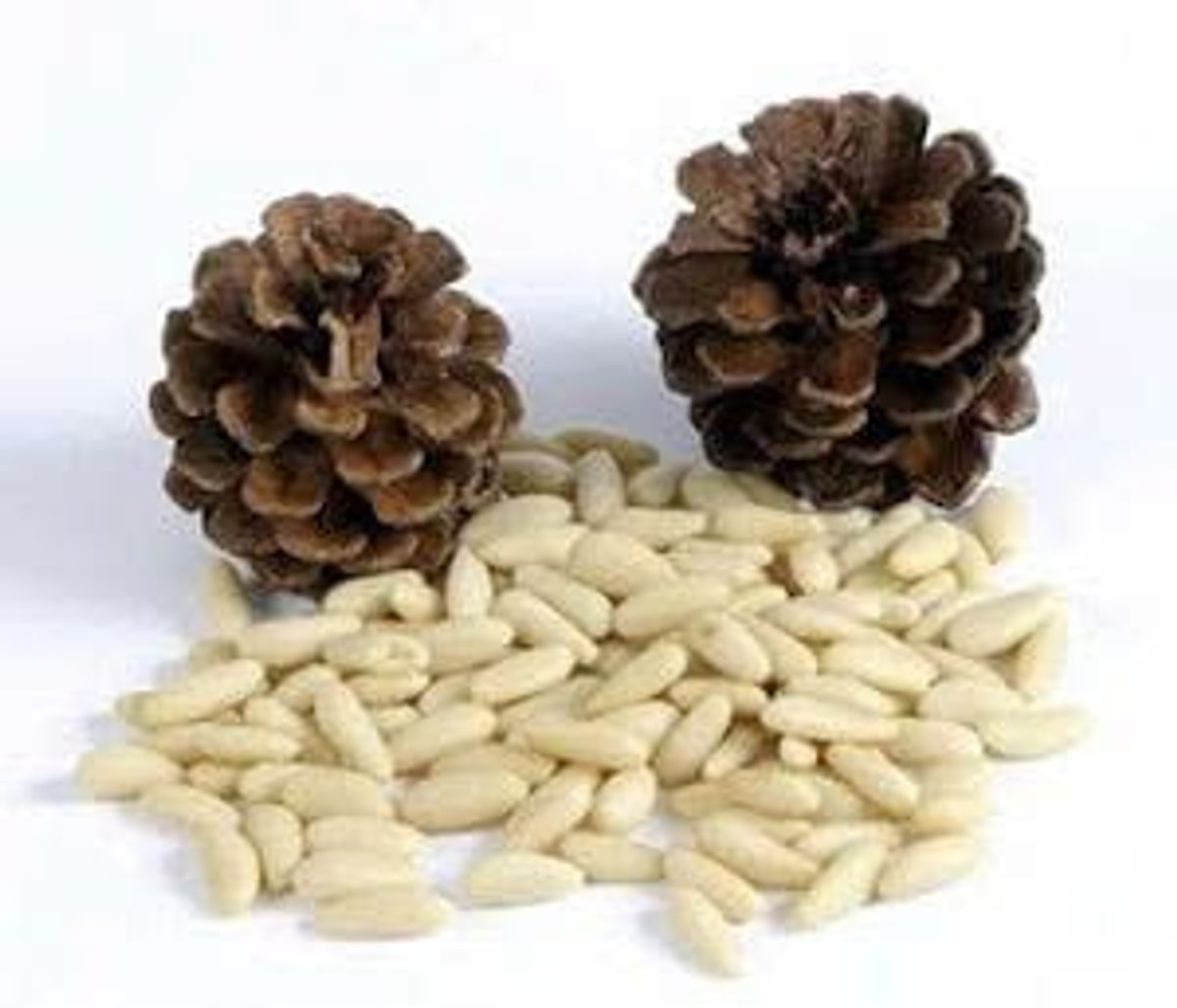 Pine nuts (packed)