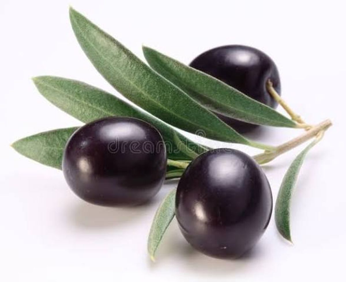 Cypriot black olives